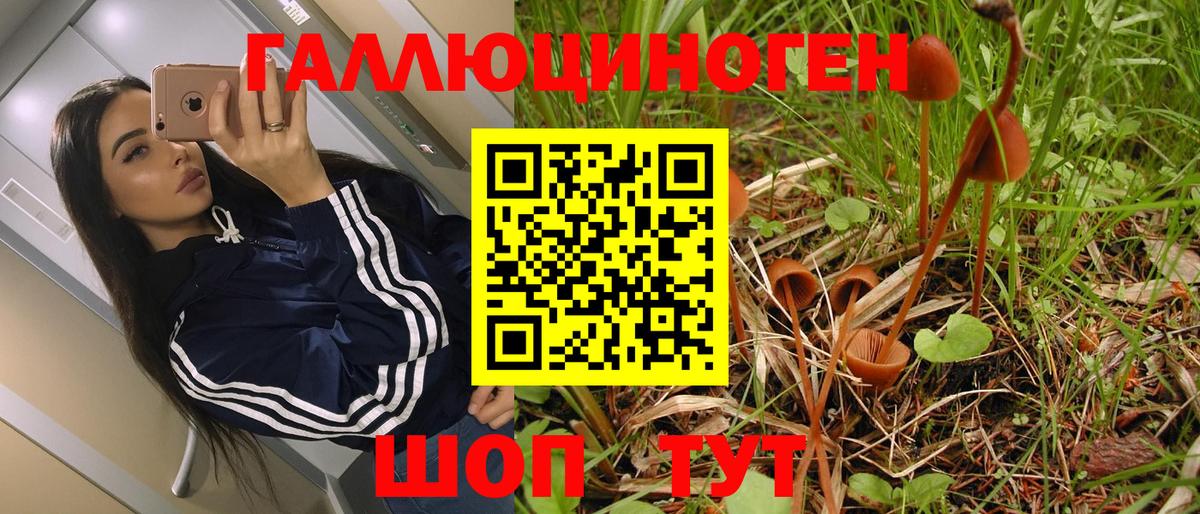 Нальчик  Галлюциногенные грибы Magic Shrooms  Вход с VPN  Псилоцибиновые грибы MAGIC MUSHROOMS 